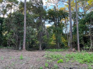 119 Dolphin Dr, Georgetown, FL 32139