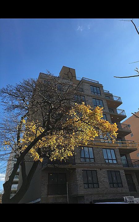 2nd image of 1663 E 19th St Unit 3A