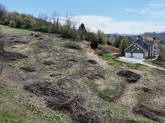 4th image of 209 Briarfield Dr