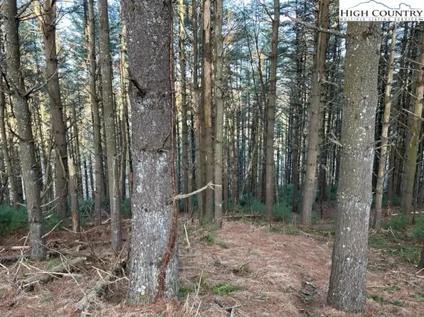 TBD Lot 301 Woodstock Drive, West Jefferson, NC 28694