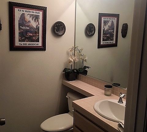 Downstairs guest bathroom