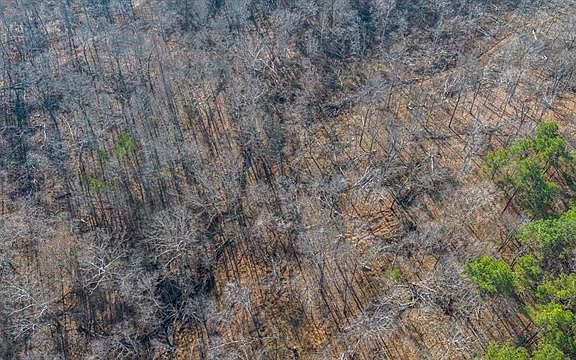 5th image of LOT 3 Four 5 & Bear Run Trl