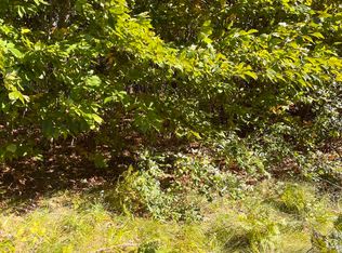 Spring Velvet Ct, Grayling, MI 49738