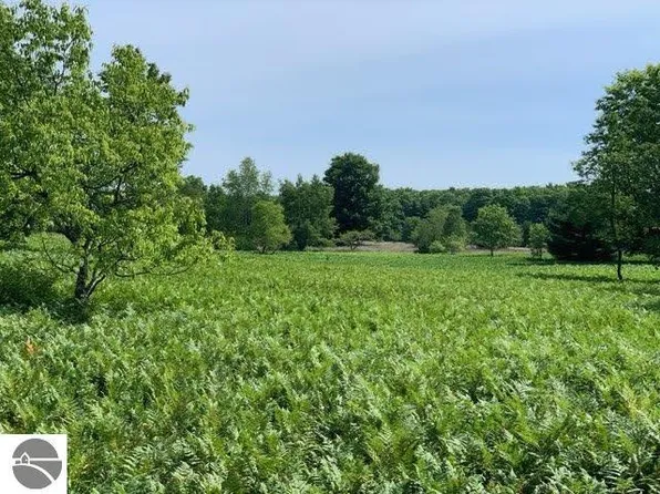 0 Vista Valley Rd, Mesick, MI 49668