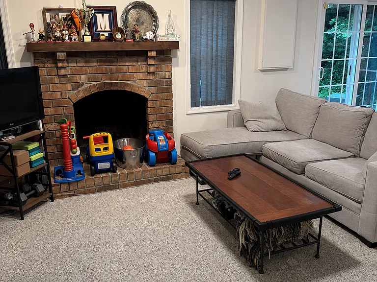 Basement Family Room