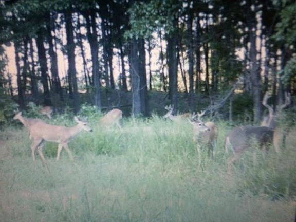 5th image of 11214 County Road 6850