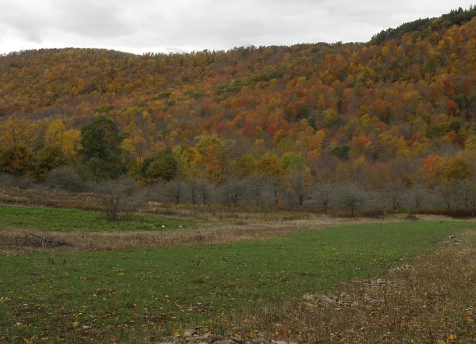 1st image of Gregory Hollow Road