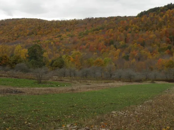 Gregory Hollow Road, Hamden, NY 13782