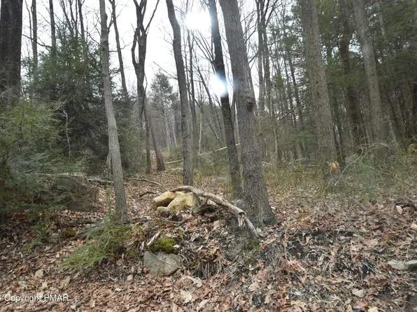 45052 Co Line & Lr, Kunkletown, PA 18058