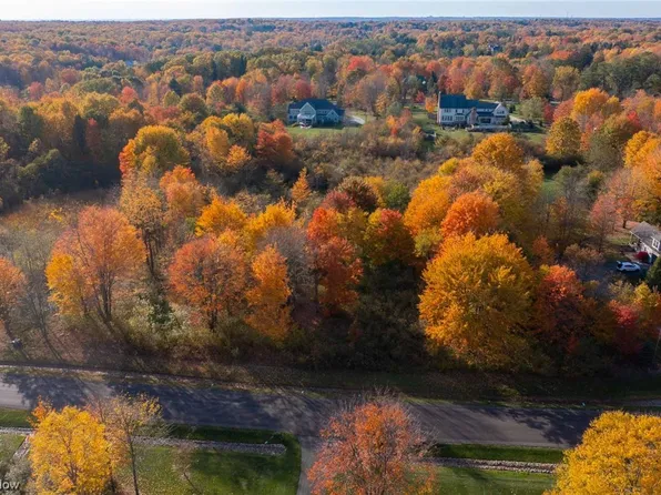 16100 Addington Ct, Newbury, OH 44065