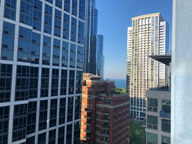 1305 S Michigan Ave #1506 — Photo 5