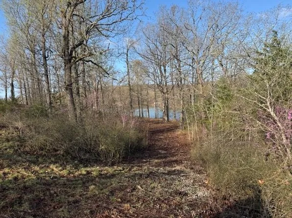 811 & 901 Twilight Dr, Horseshoe Bend, AR 72512