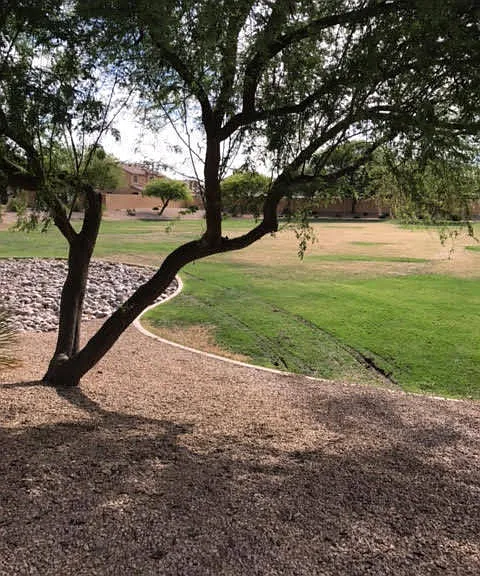 2348 E Meadow Lark Way — Photo 11