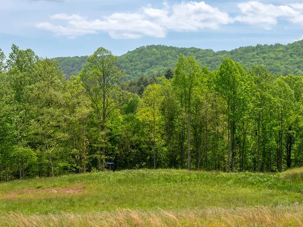 15 Waterstone Way, Mineral Bluff, GA 30559