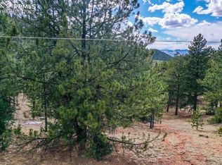 395 Wabash Ter, Cripple Creek, CO 80813