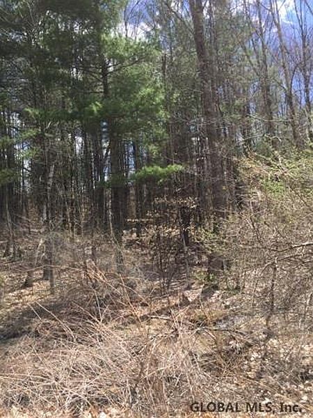 5th image of 00 WOOD Lane