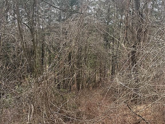 3rd image of TBD 6-K River Run Lane
