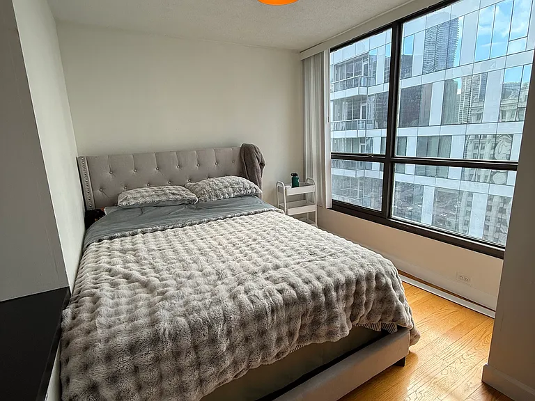 405 N Wabash Ave #1605 — Photo 3