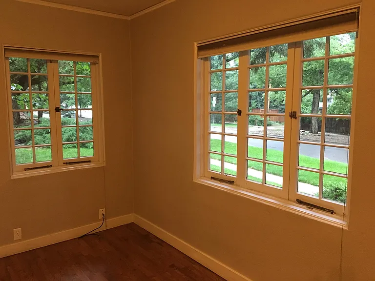 Dining room windows