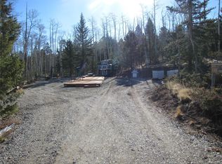 8165 Ranch Rd, Hartsel, CO 80449