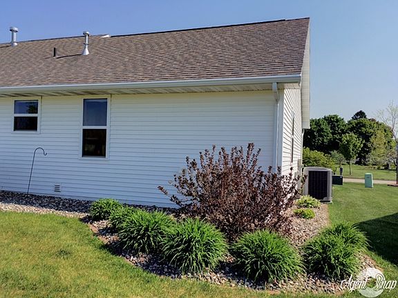 Easy Care Perennials 