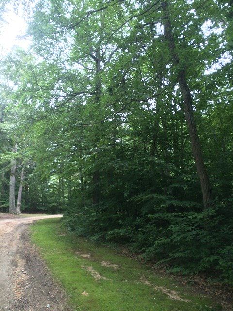 2nd image of 273 Principio Rd