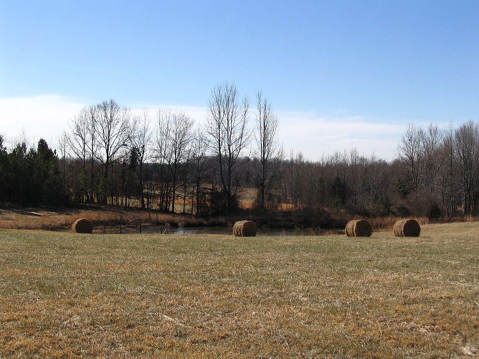 Overlooking pond