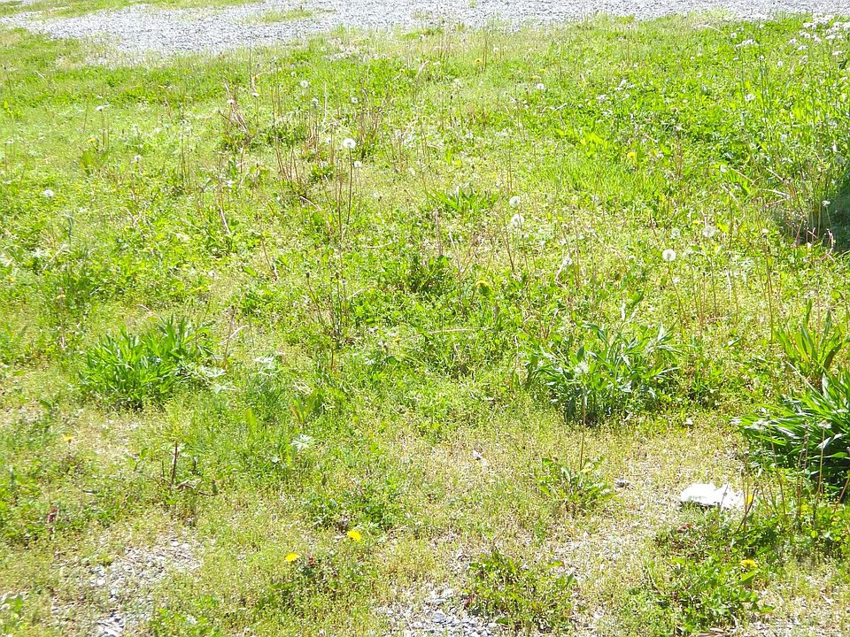 2nd image of 354 Adcock Cemetery Rd