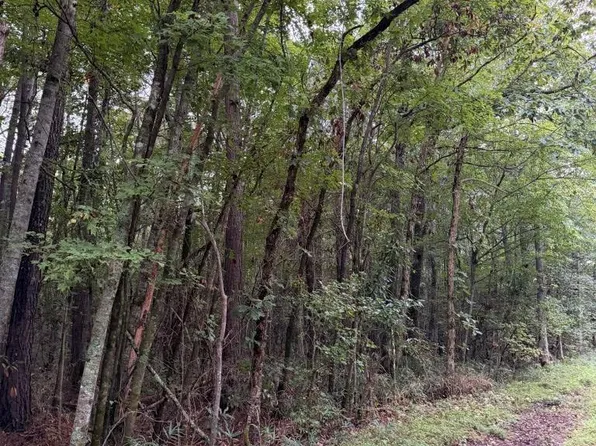 Lots 9 & 14 North River Landing Rd, Grandy, NC 27939