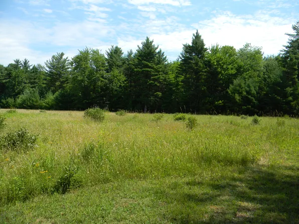 V/l W Hammett Rd, Pentwater, MI 49449