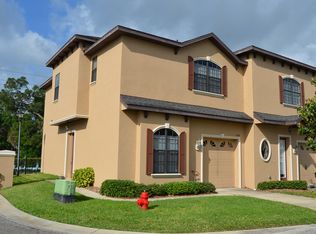 10291 Villa Palazzo Ct, Tampa, FL 33615