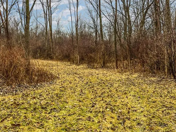 Baldwin Rd, Bridgman, MI 49106