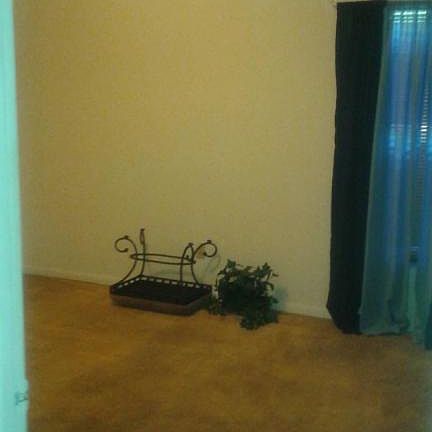 4th image of 5644 Colony Pine Cir N