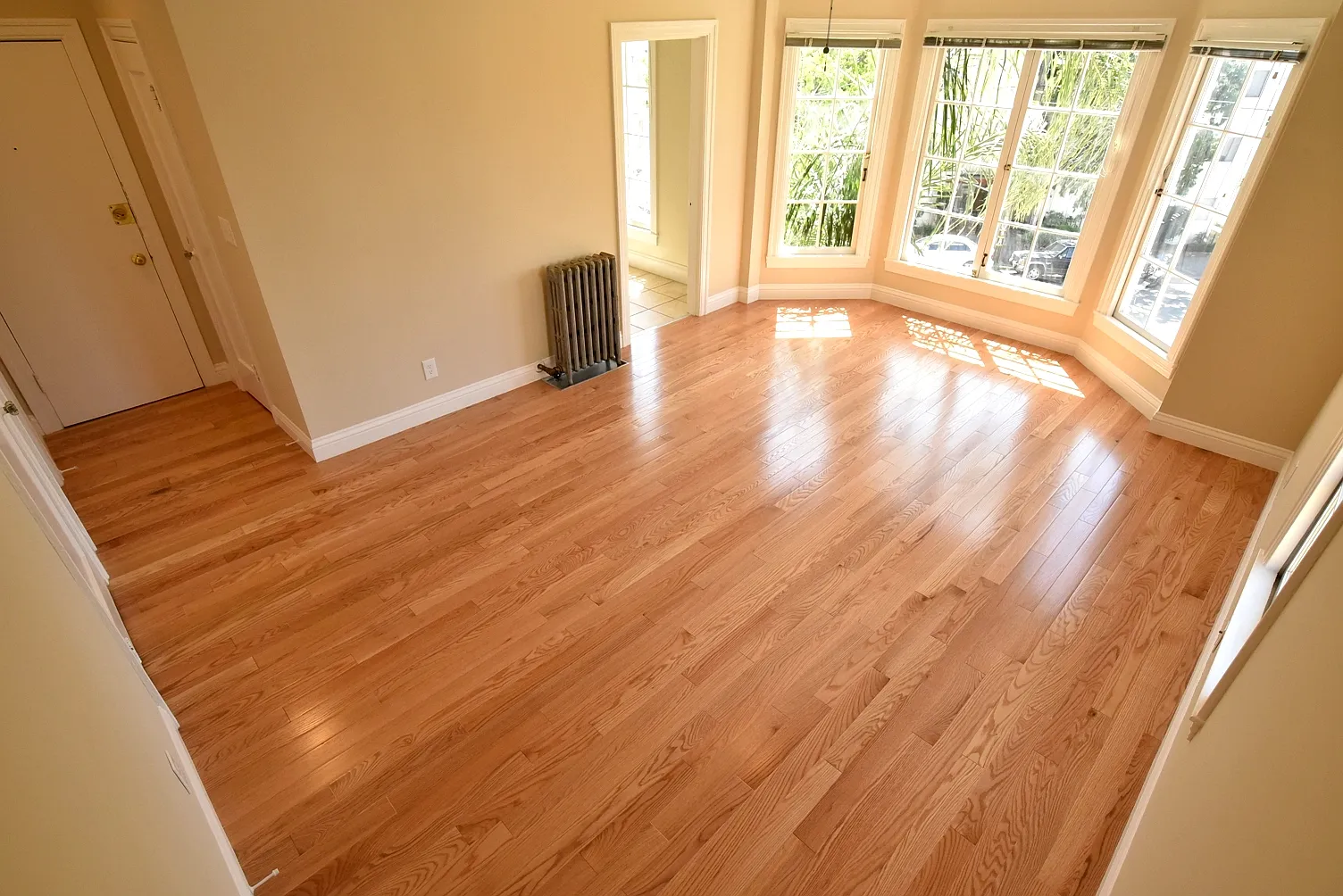 Studio, 450 sqft, $1,795 — Photo 3