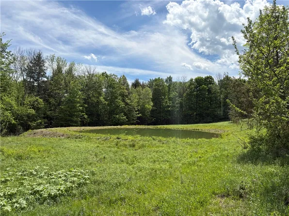 County Road 46 Lower Ravine Rd #10, Norwich, NY 13815