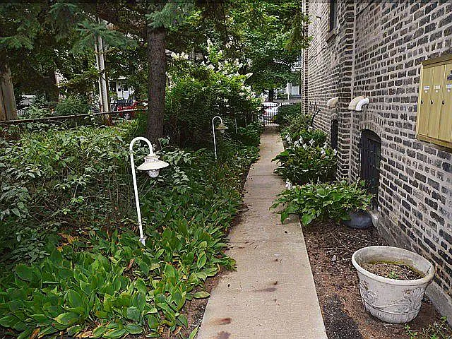 Garden along building