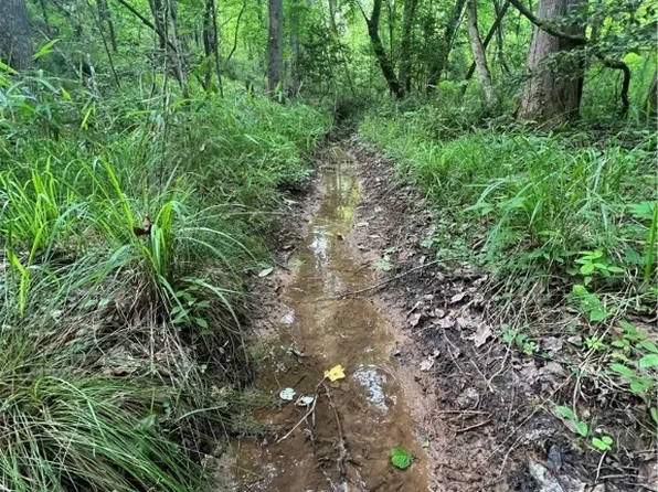 0 County Road 183 #1, Marion, AL 36756