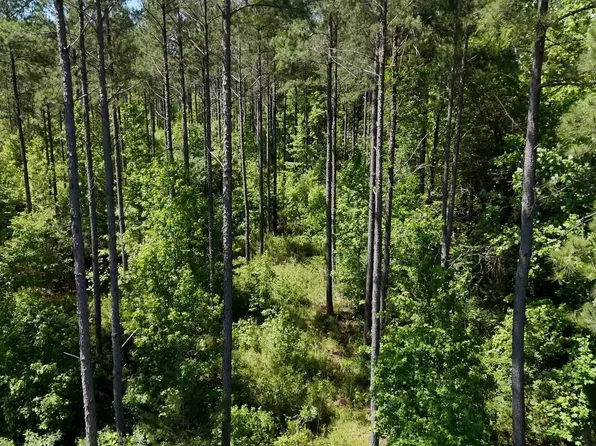 Shady Grove Church Rd, Clinton, SC 29325