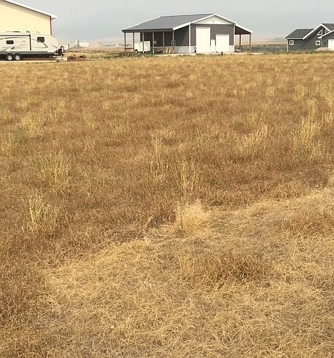 1st image of 153 Sweetgrass Dr