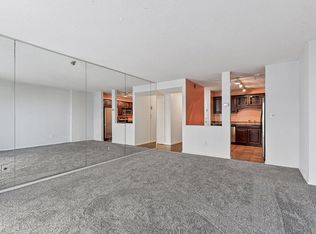 121 Washington Ave S APT 1113, Minneapolis, MN 55401