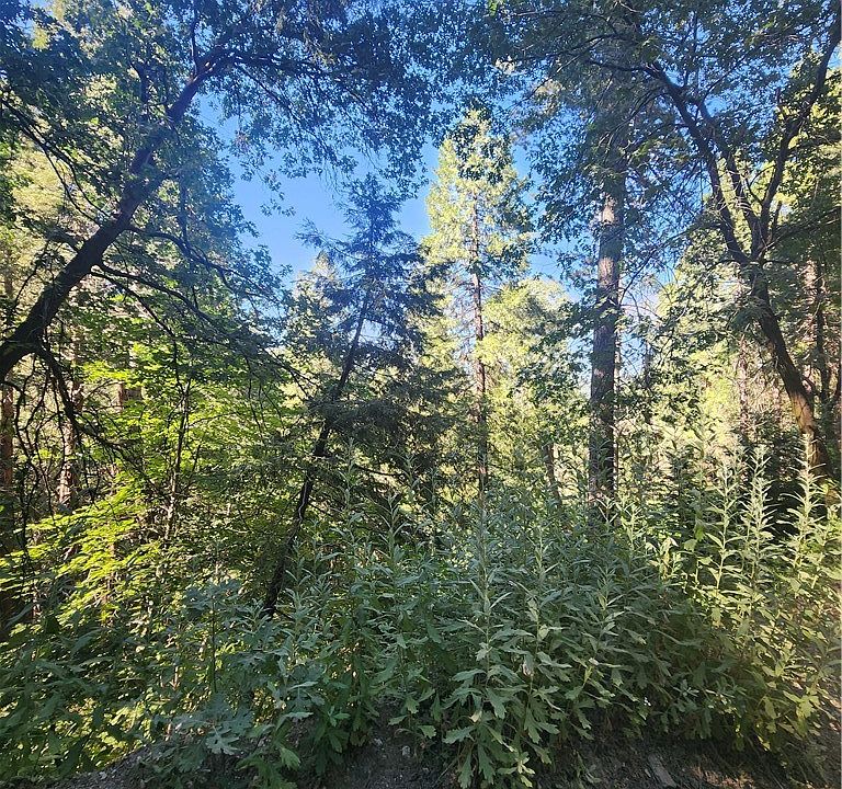 1st image of 0 Forest Dr #16
