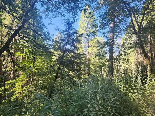 0 Forest Dr #16, Cedarpines Park, CA 92322
