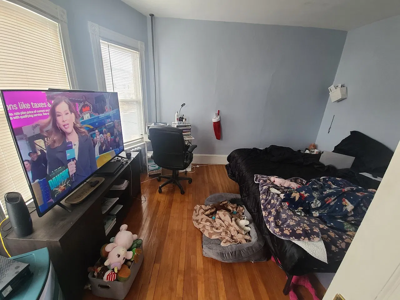 174 Ash — Photo 3