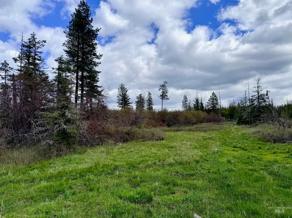 0 Wildwood Dr, Orofino, ID 83544