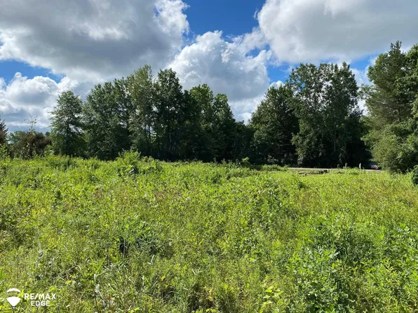 0 W Frances Rd, Flushing, MI 48433