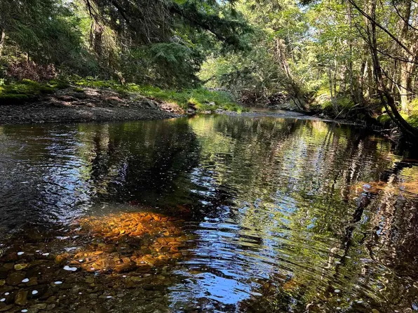 510 Highway 336, Newton Mills, NS B0N 2M0