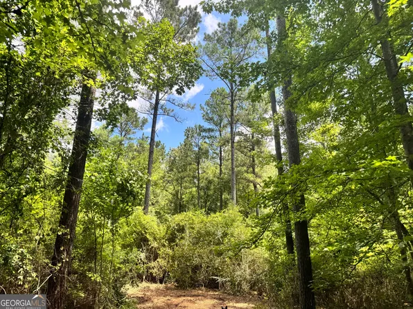 134/AC Johnson Rd, Hogansville, GA 30230