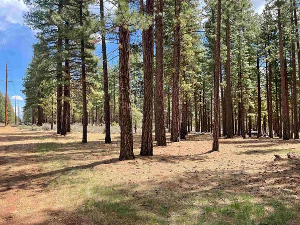 0 Thumper Hill Rd, Susanville, CA 96130