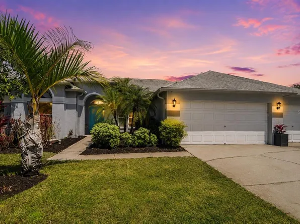 19717 Wyndham Lakes Dr, Odessa, FL 33556