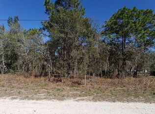 13033 Trapper John Rd, Weeki Wachee, FL 34614